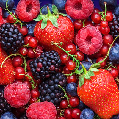 Welcome%20to%20Beechlea%20Limited