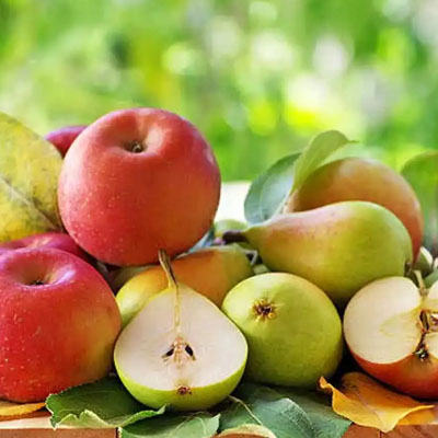 Welcome%20to%20Beechlea%20Limited